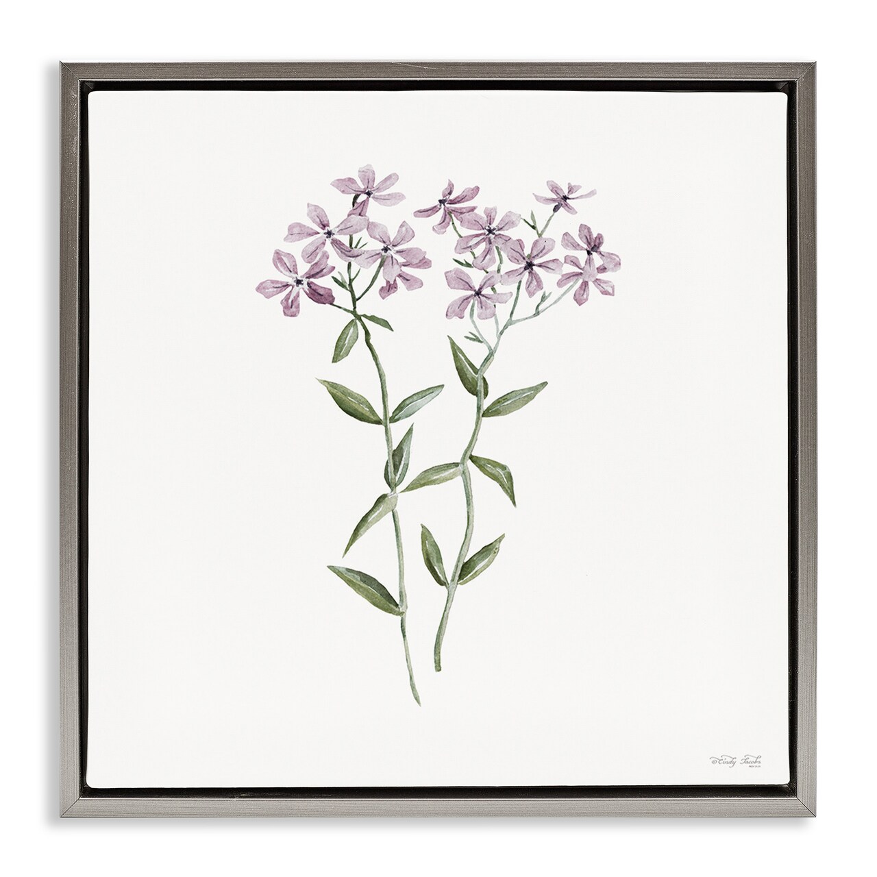 Stupell Industries Purple Phlox Botanical Floating Frame, design by Cindy Jacobs